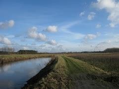 Ontstaan van de Diestiaanheuvels in het Hageland en。